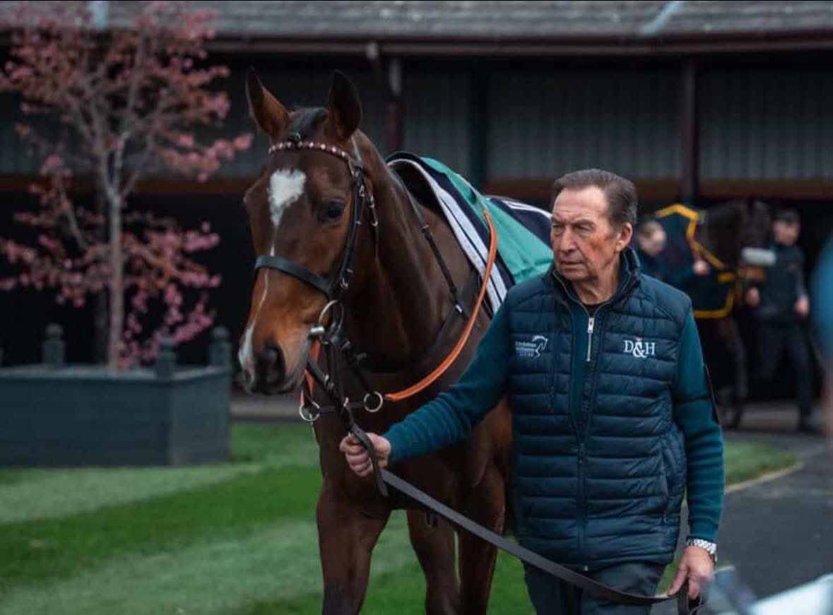CWilliamsRacing's tweet photo. Vale of Tears ❤️

A pleasing first day at school at Bangor. 1 x 5% share left in her!

(Clive sadly not for sale) 

https://t.co/8bv5hlv4Zz https://t.co/I1e8gILhl2