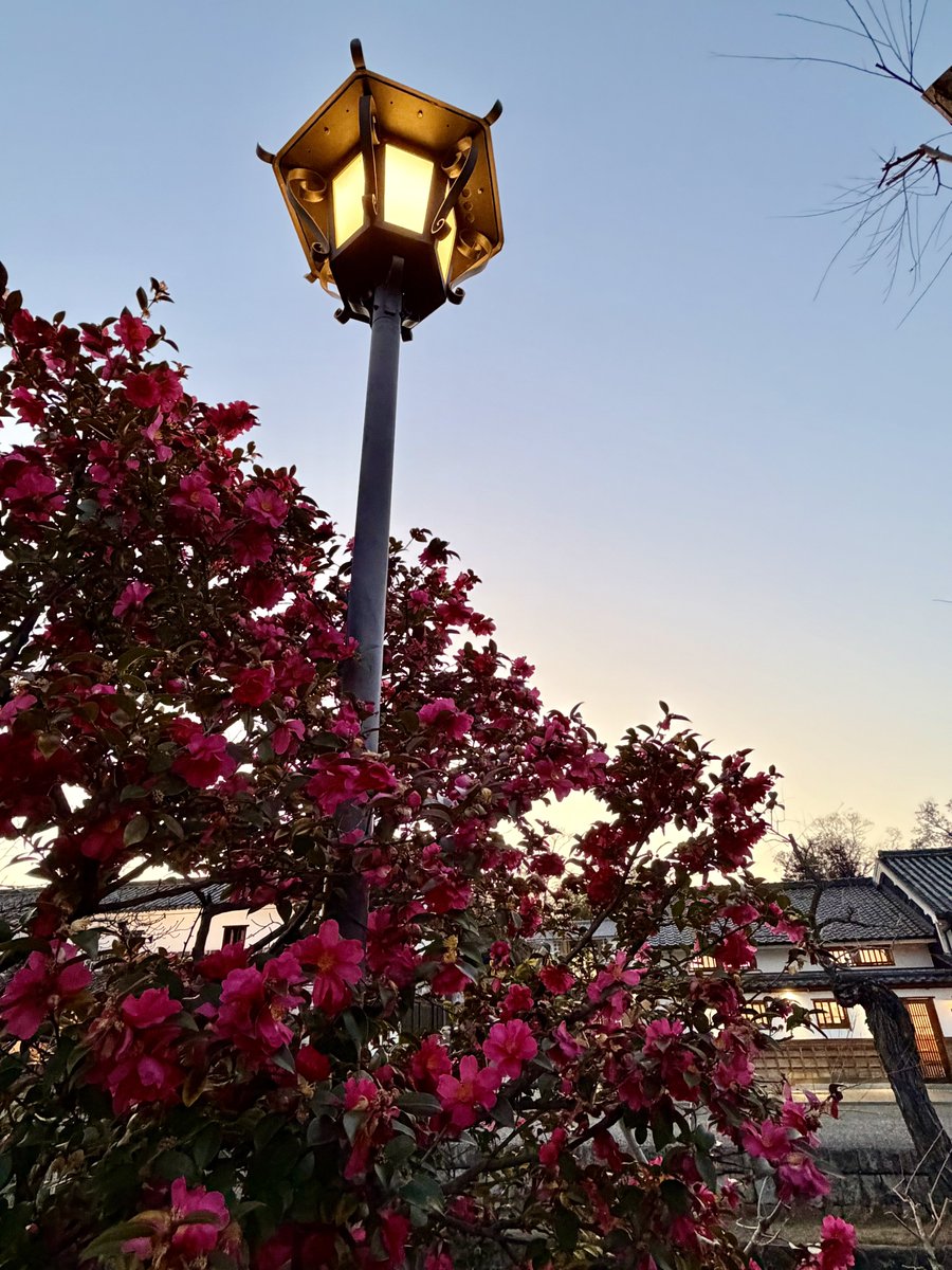 COS-LOG【公式アカウント】コスログ tweet media