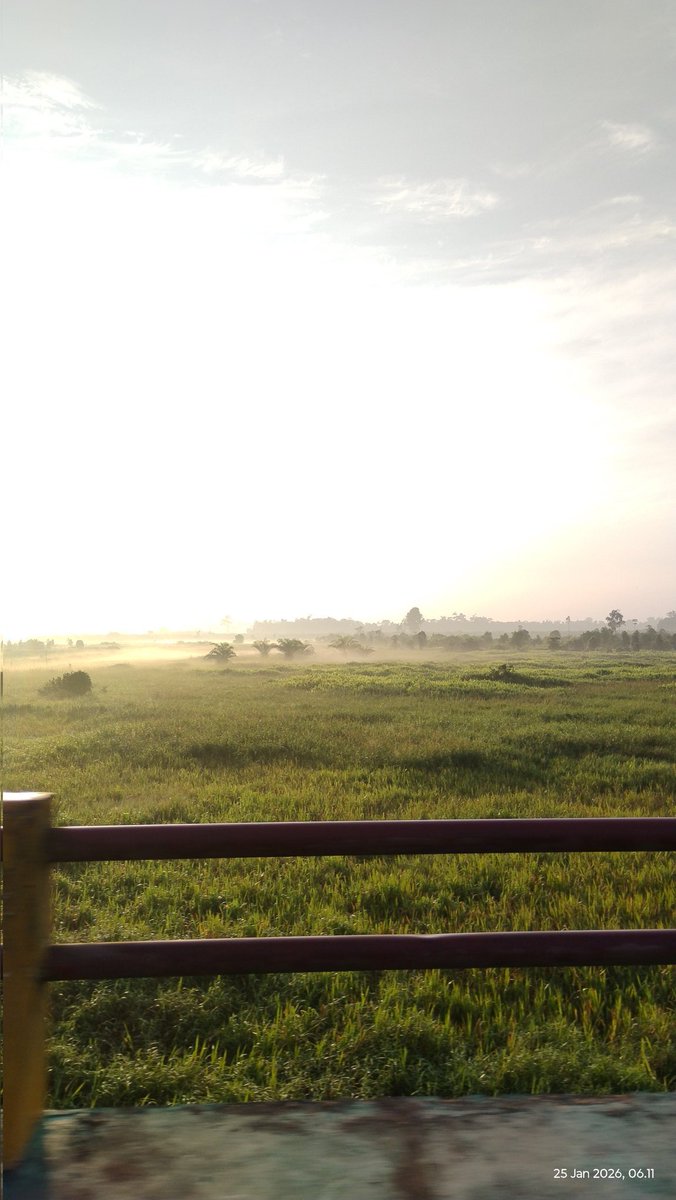 Randesuyo1's tweet photo. @capekbgtaslinya @tanyakanrl Salah satu hasil dari kamera moto G45 kak, dibanding vivo dan Oppo yang sekelas, kerasa berbeda di dynamic range yang lebih luas punya Oppo dan vivo. Disini cahaya highlight nya terang banget di moto G45 https://t.co/3sUzOAZ3Gr