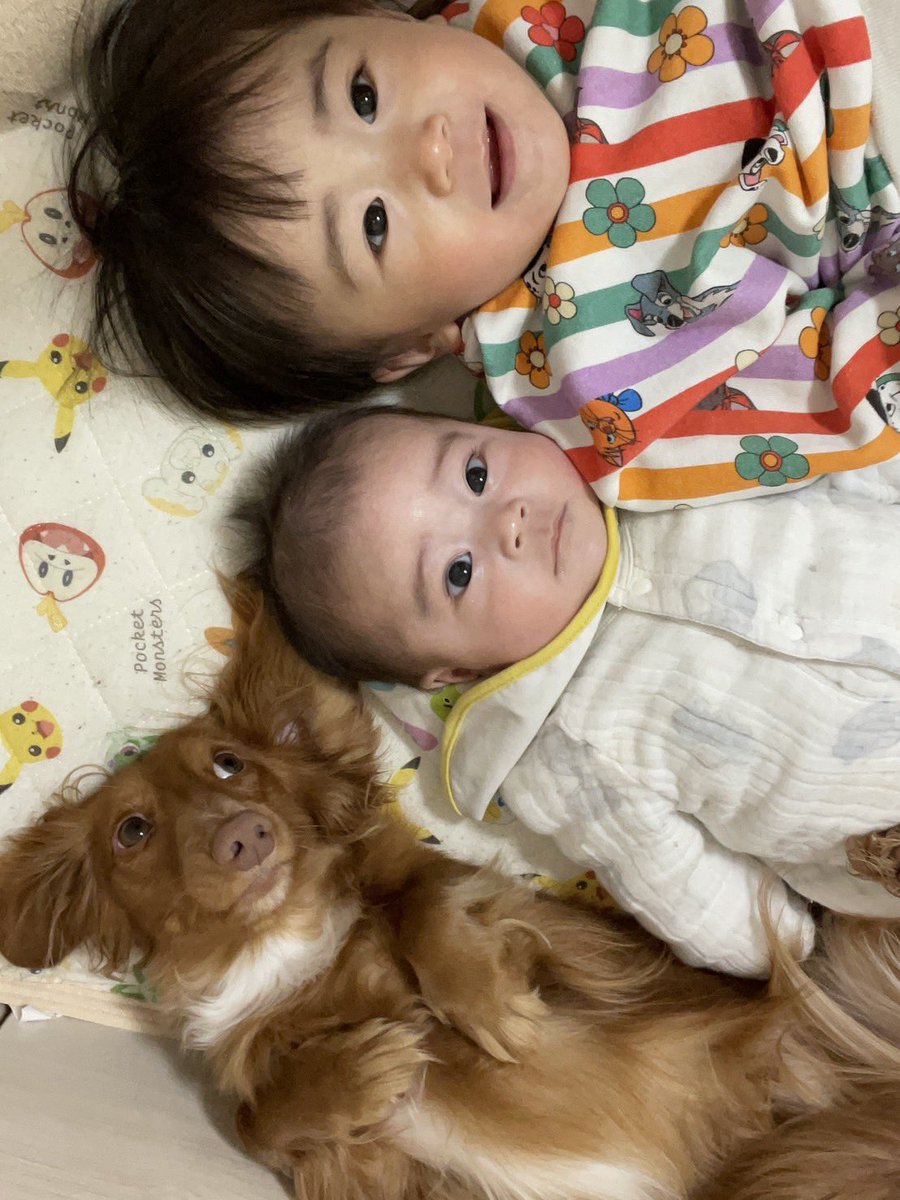 mae_p_'s tweet photo. バンド復帰までもうしばし...
すくすく育ってくだせえ https://t.co/e1b4LizYNg