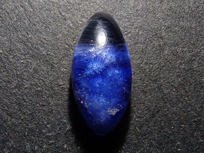 珊瑚翡翠　梅 水面下の別世界。澄んだ湖の下に咲き乱れる青い花々を思わせます