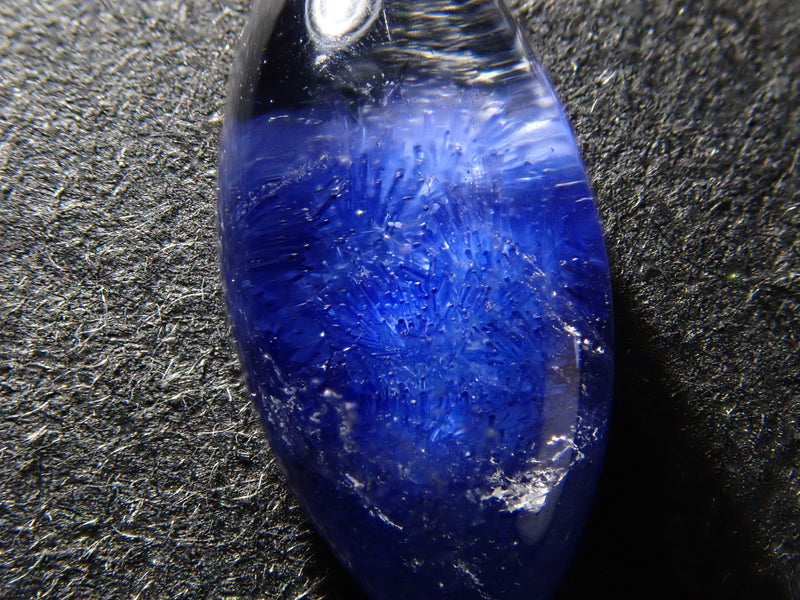 この青い花は結晶か、はたまた生き物の一部か…