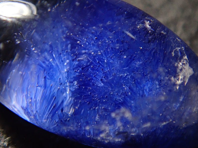 この青い花は結晶か、はたまた生き物の一部か…