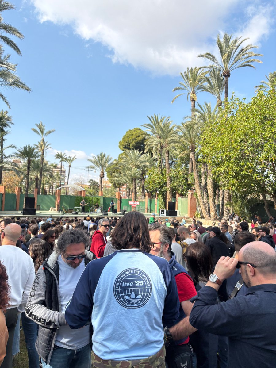 Museo Ilicitano tweet media