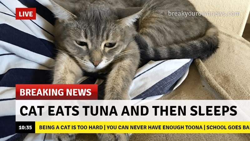 Breaking News