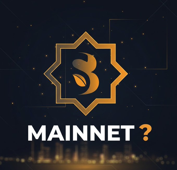 Which year do you think Sidra will officially launch❓

What’s your prediction — 2026, 2027, or later?👀

#SIDRA