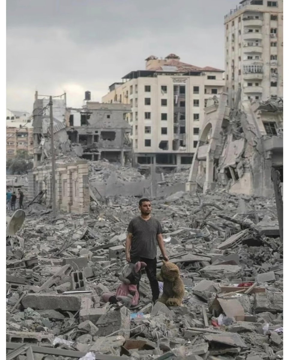 阿凡提之声 tweet media