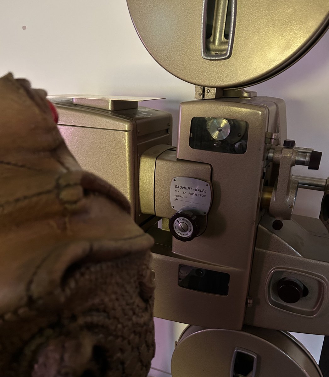 Amelia Howard Makes Stuff tweet media