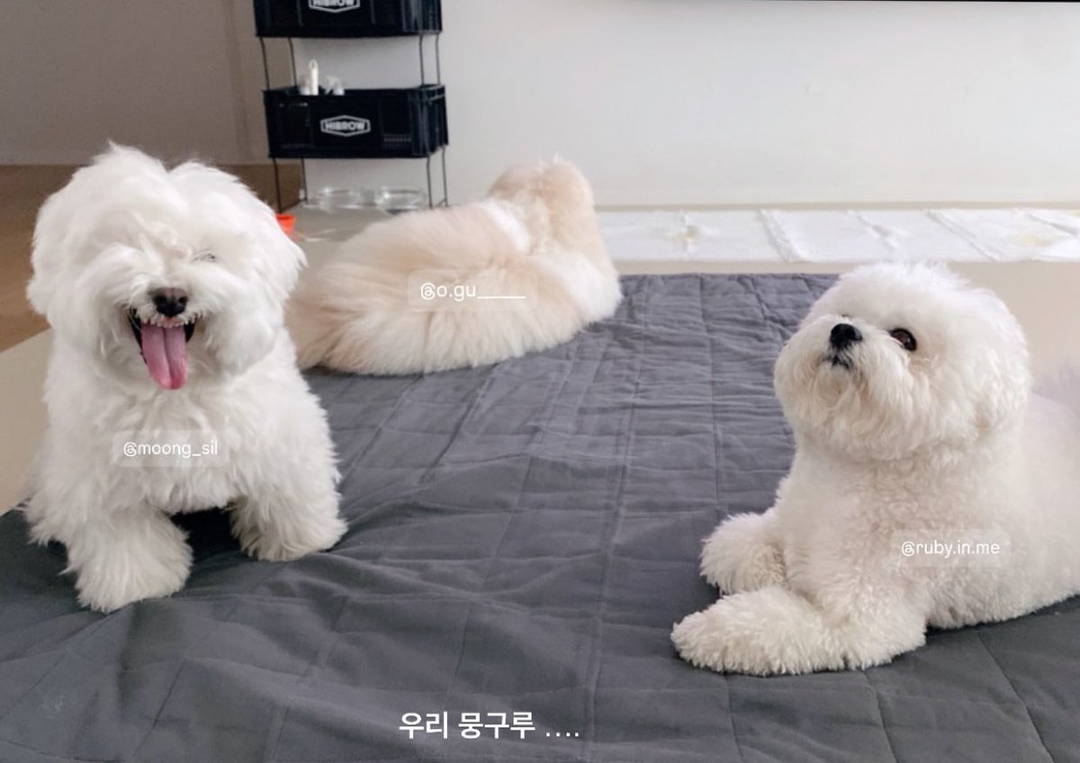 Ruby Updates tweet media