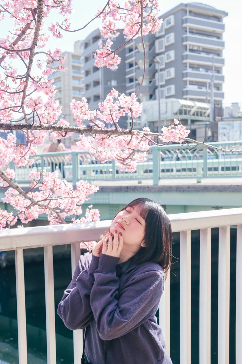 春のようで、冬の光