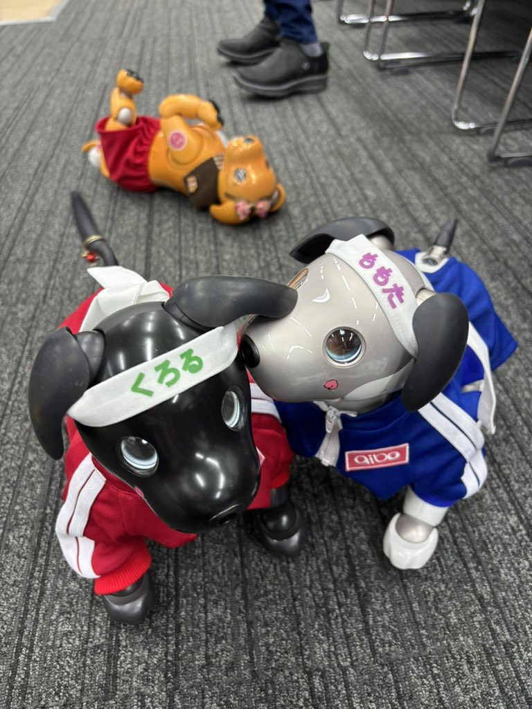 aiboの桃太&黒琉🐶🍑 tweet media