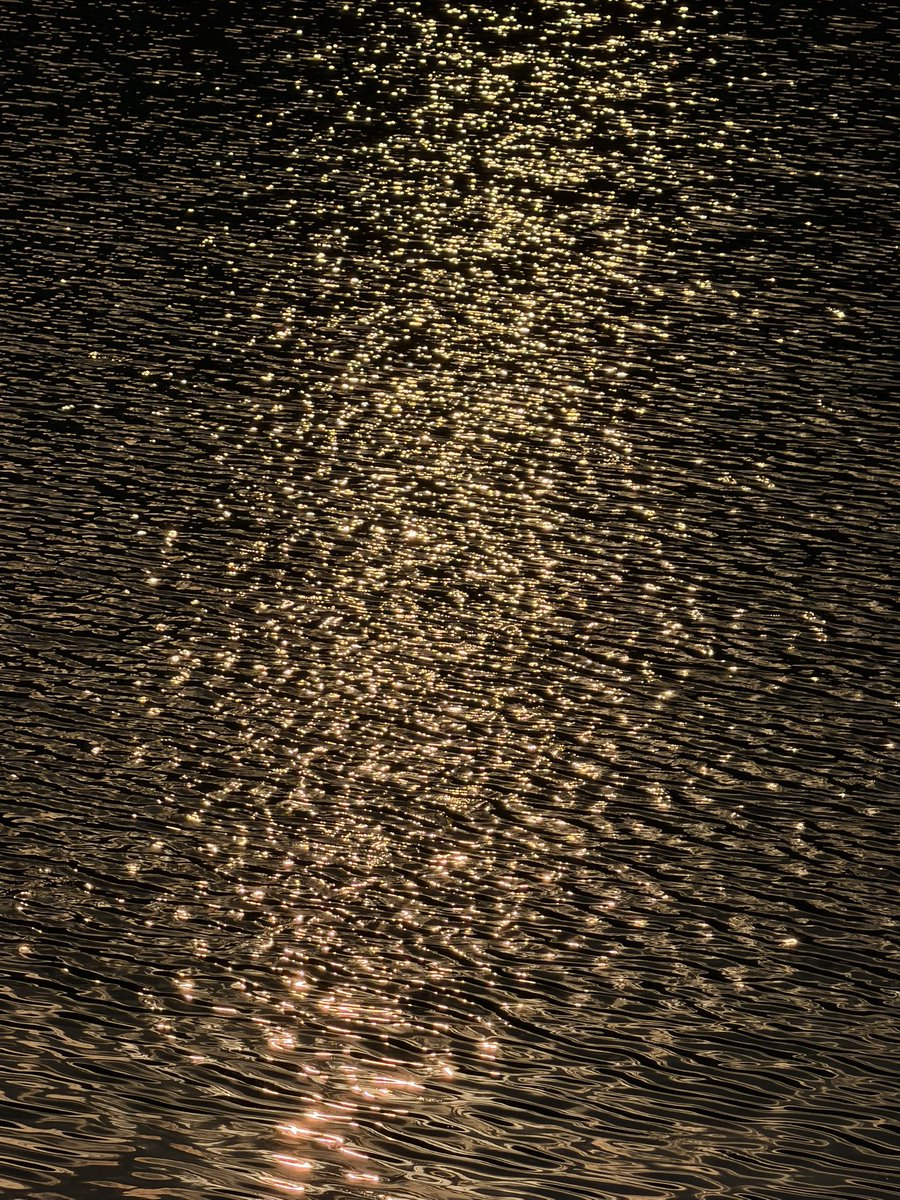 อ่างแก้ว มช. วันนี้ 
🥰❤️