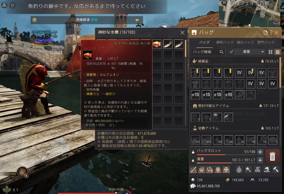 シャトノワール🐾Chaton🐈⬛ tweet media