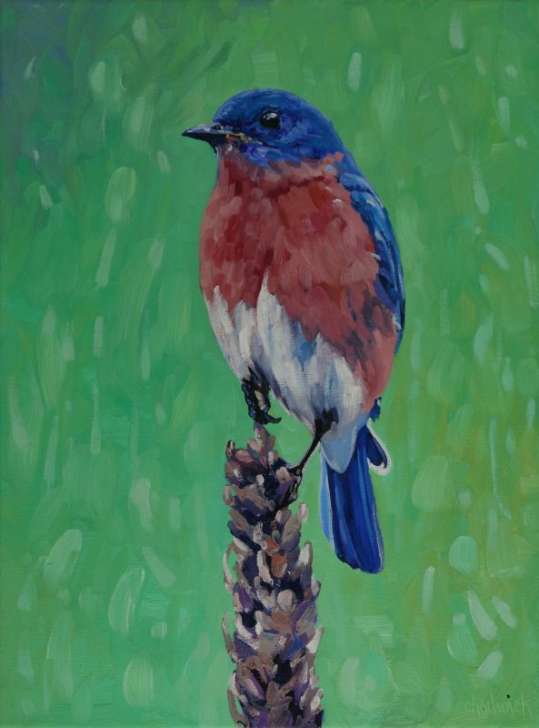 Phil Chadwick tweet media