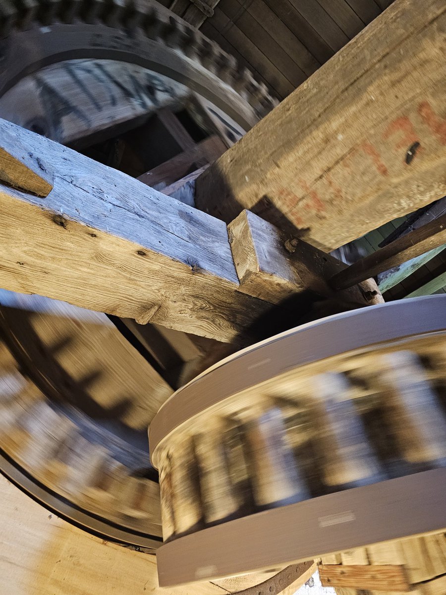 P3T3R 🦋 tweet media