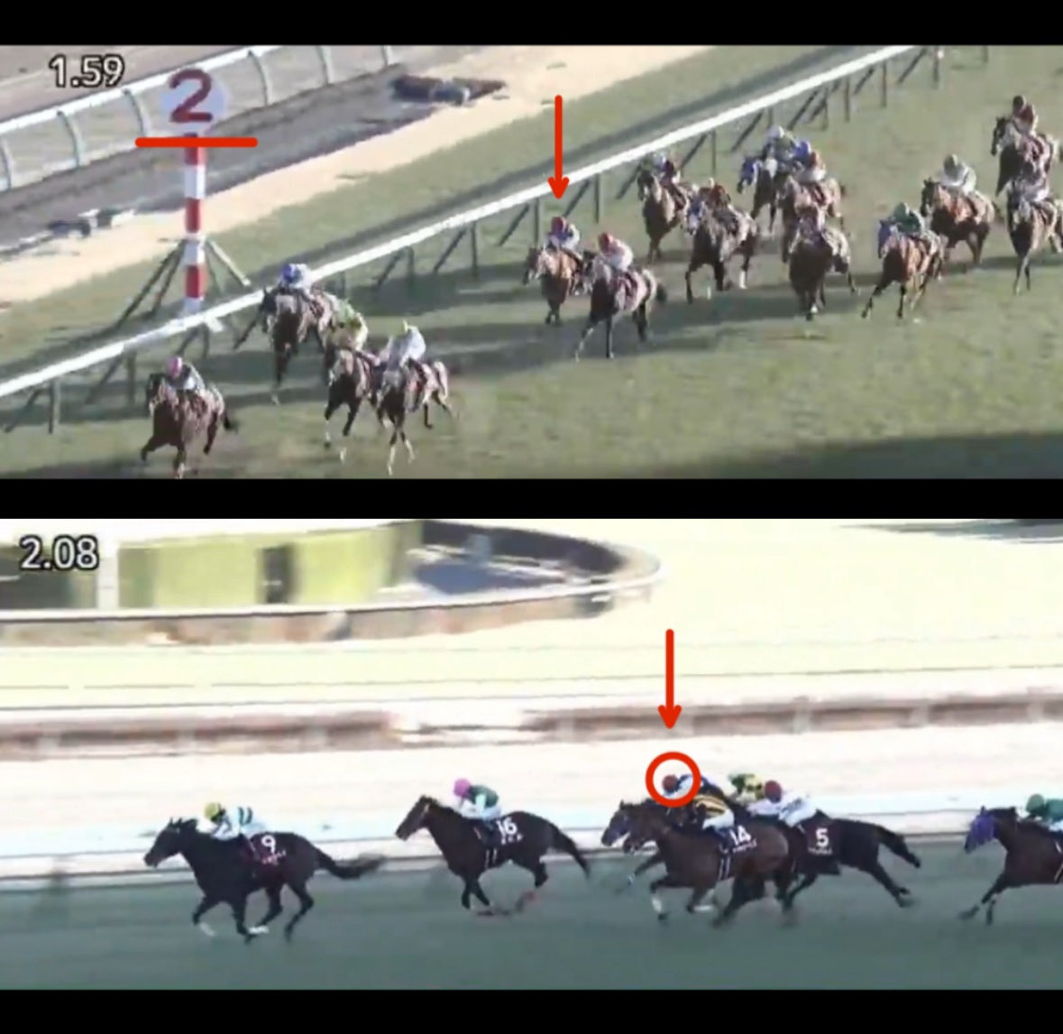 うまうまー(3分の2頭は来るマン！) (@yupo1004) / Posts / X