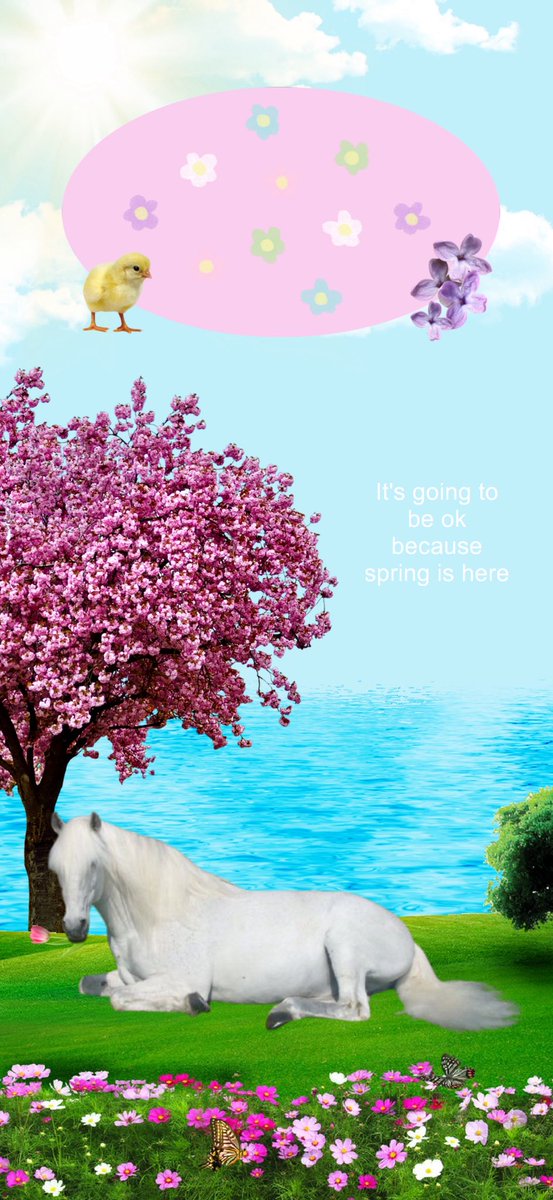 horseimage's tweet photo. let’s welcome spring with this beautiful wallpaper https://t.co/vzBpeFeWGS