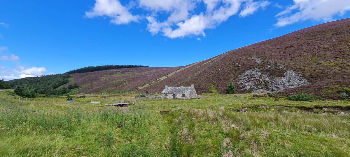 Aujourd'hui c'est la Journée Mondiale des maladies rares. 
Les maladies sont rares.
Mais l’isolement, lui, ne l’est pas.
Les maladies sont dites rares.
L’indifférence, elle, est malheureusement ordinaire.
L'écosse tellement rare mais tellement beau !