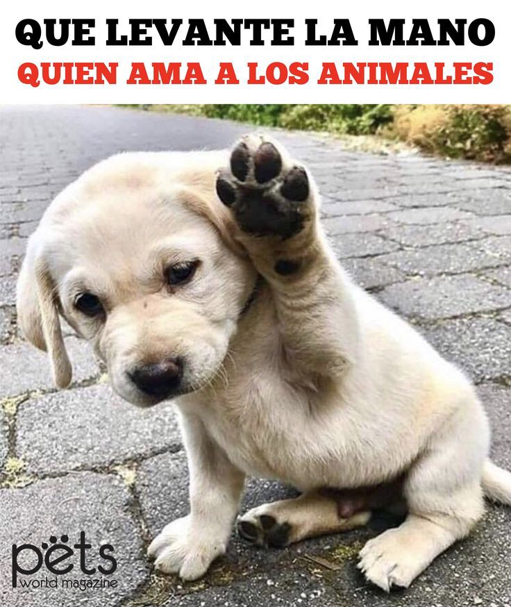 Jülian (@julian81355367) on Twitter photo 