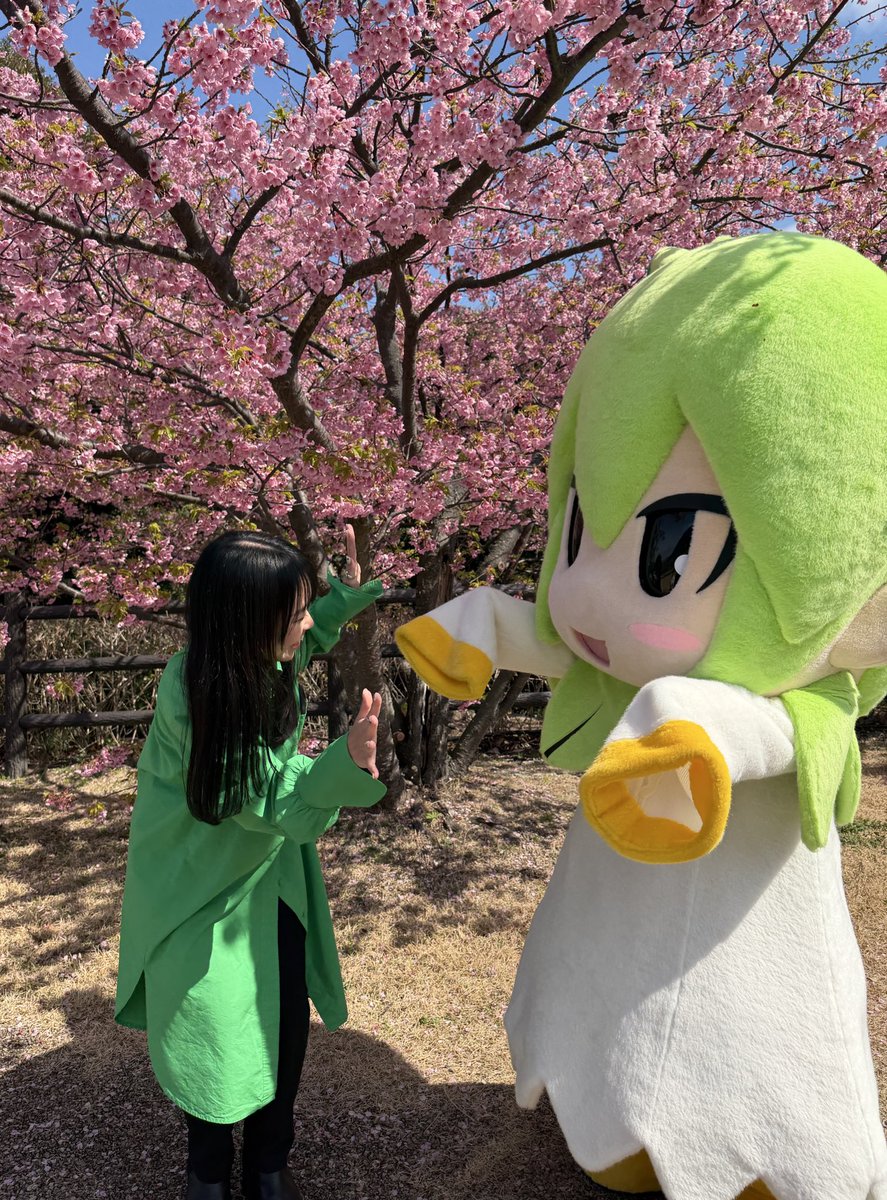 のんのちゃん-山口県上関町公式VTuber- (@nonnokaminoseki) / Posts / X