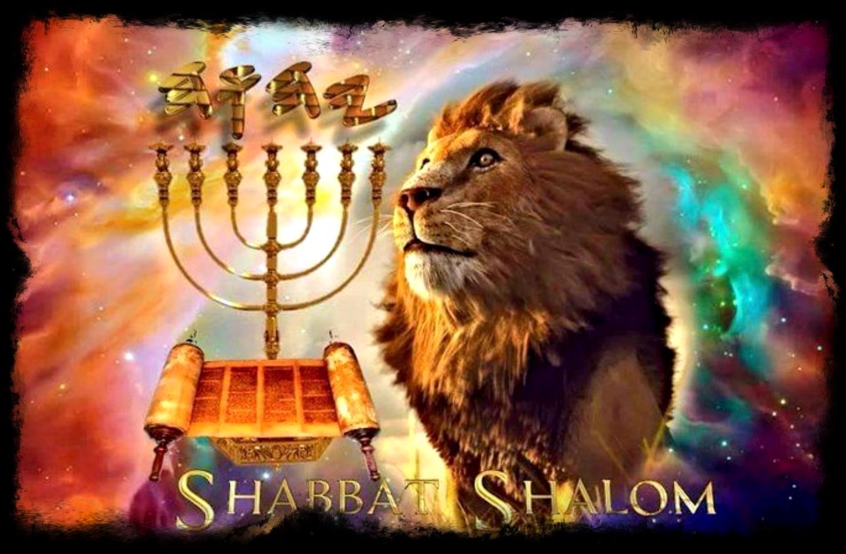 IROSARIO88's tweet photo. #ShabbatShalom ✡️ 🕎 🇮🇱 🇵🇷 🙏🏼 🙌🏼 🖖🏼 💪🏼 👨🏻‍⚕️®️ https://t.co/saHNpft8hE