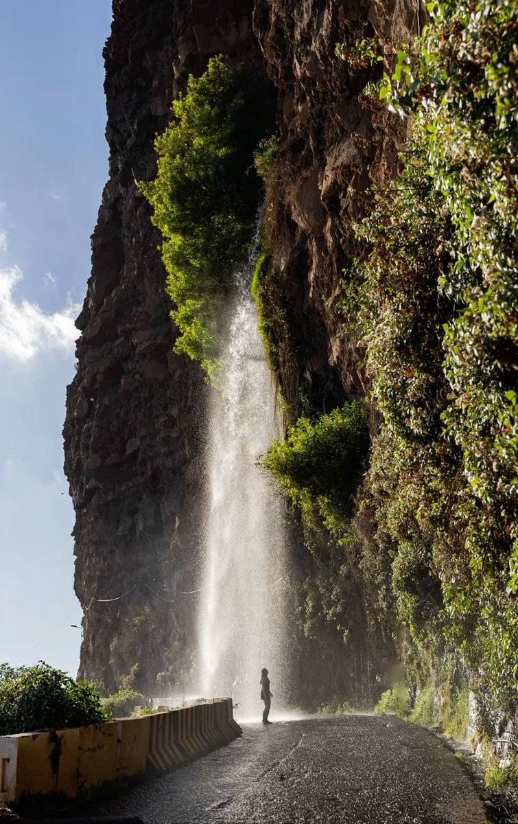 Nationalist tweet media