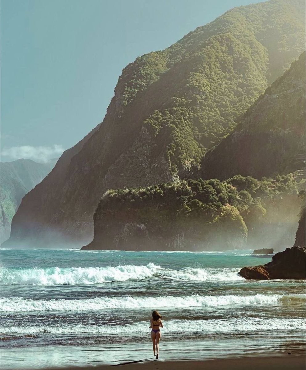 Nationalist tweet media