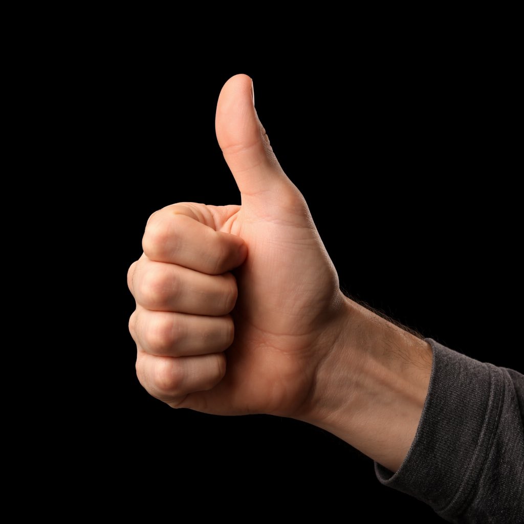 GermanStrands's tweet image. Project Windless creative director says the developers chose a 9-foot warlike rooster goliath as their protagonist because literally 'every candidate' interviewed to work on the game wanted to play as one: 'All of them—and we were like, OK'.

pcgamer.com/games/action/p…