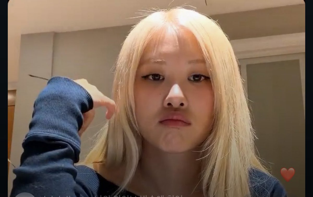 두부 tweet media