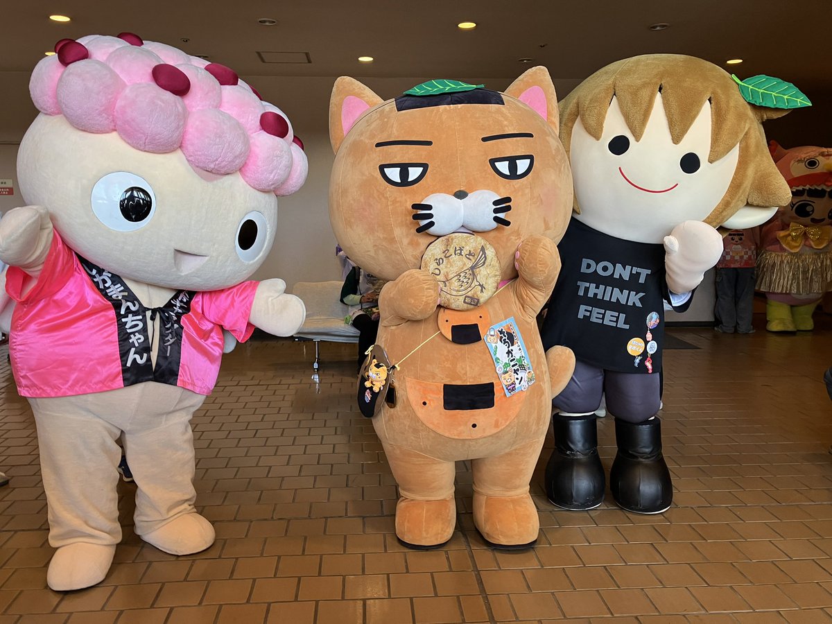 タボくん【公式】 tweet media