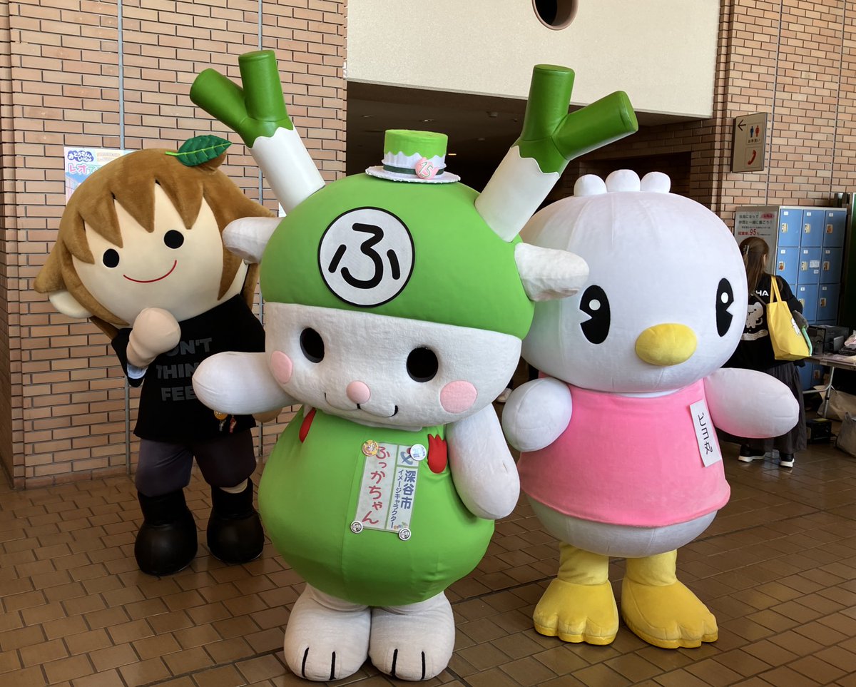 タボくん【公式】 tweet media