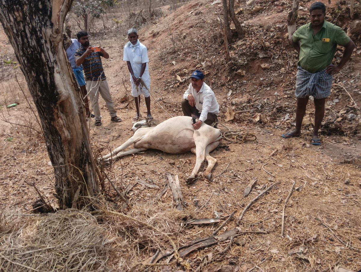 ASIF YAR KHAN tweet media