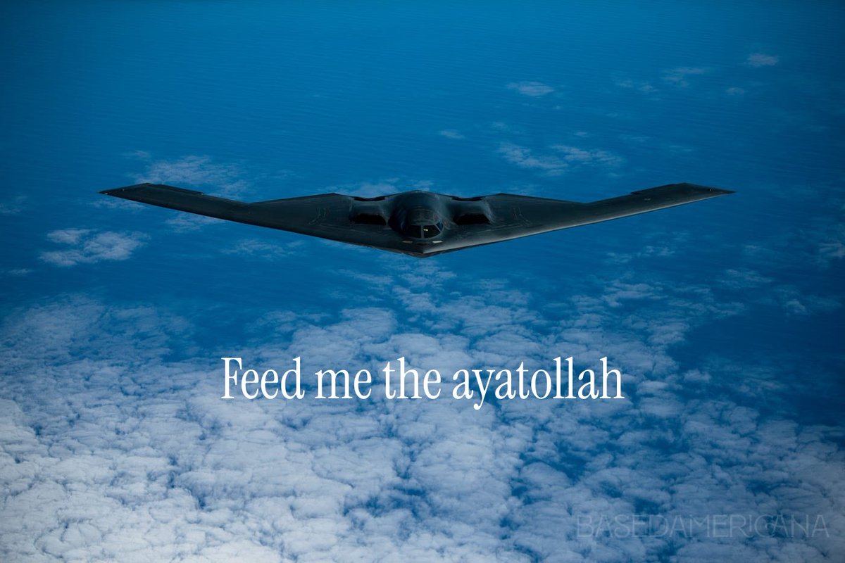 🇺🇸 Based Americana 🇺🇸 tweet media