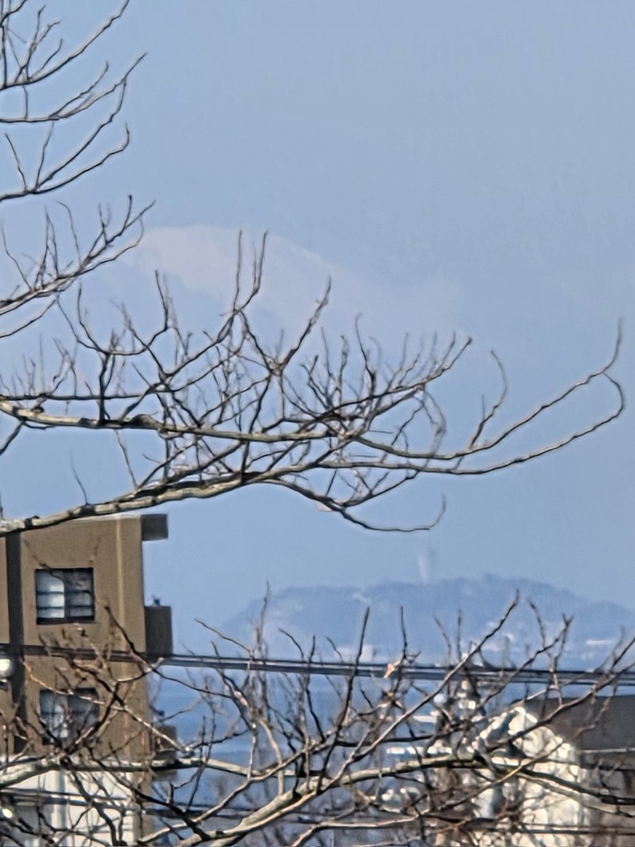 hikari🐰 (@hikari705) / Posts / X