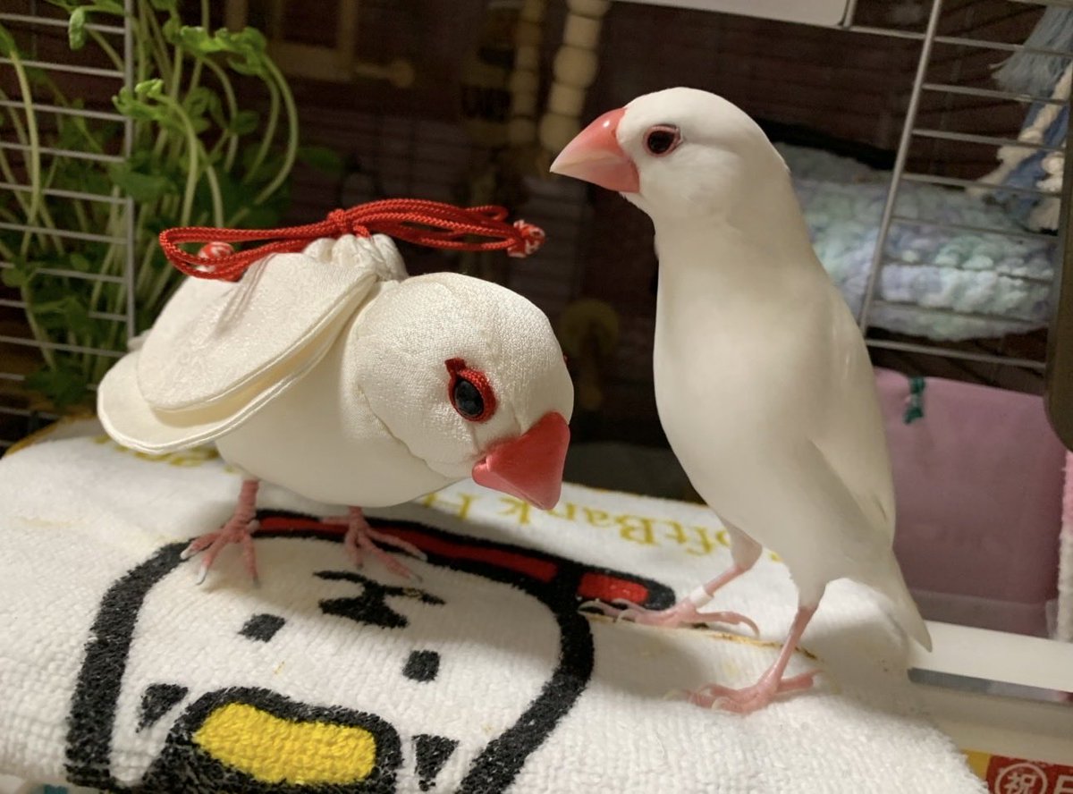 空太郎 (@3jZy2RyfgDg59MZ) on X