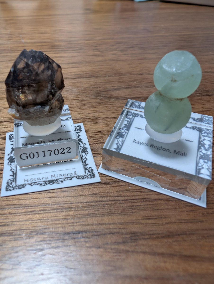 ほたるみねらるさんに遊びに行ってきた(⁠*⁠´⁠ω⁠｀⁠*⁠)オンライン