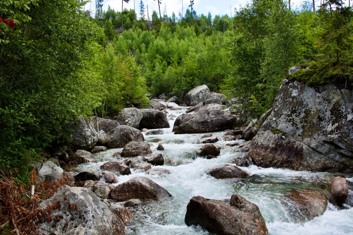 Inflation is easy.
Structural reduction is discipline.

Q-FLOW is built on burn-only architecture.

Proof of Water Delivery.

No minting.
No emissions.
No treasury recycling.

Infrastructure > hype.

#QFLOW #Tokenomics