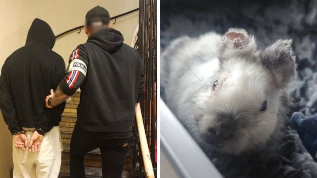 NA CZASIE tweet media