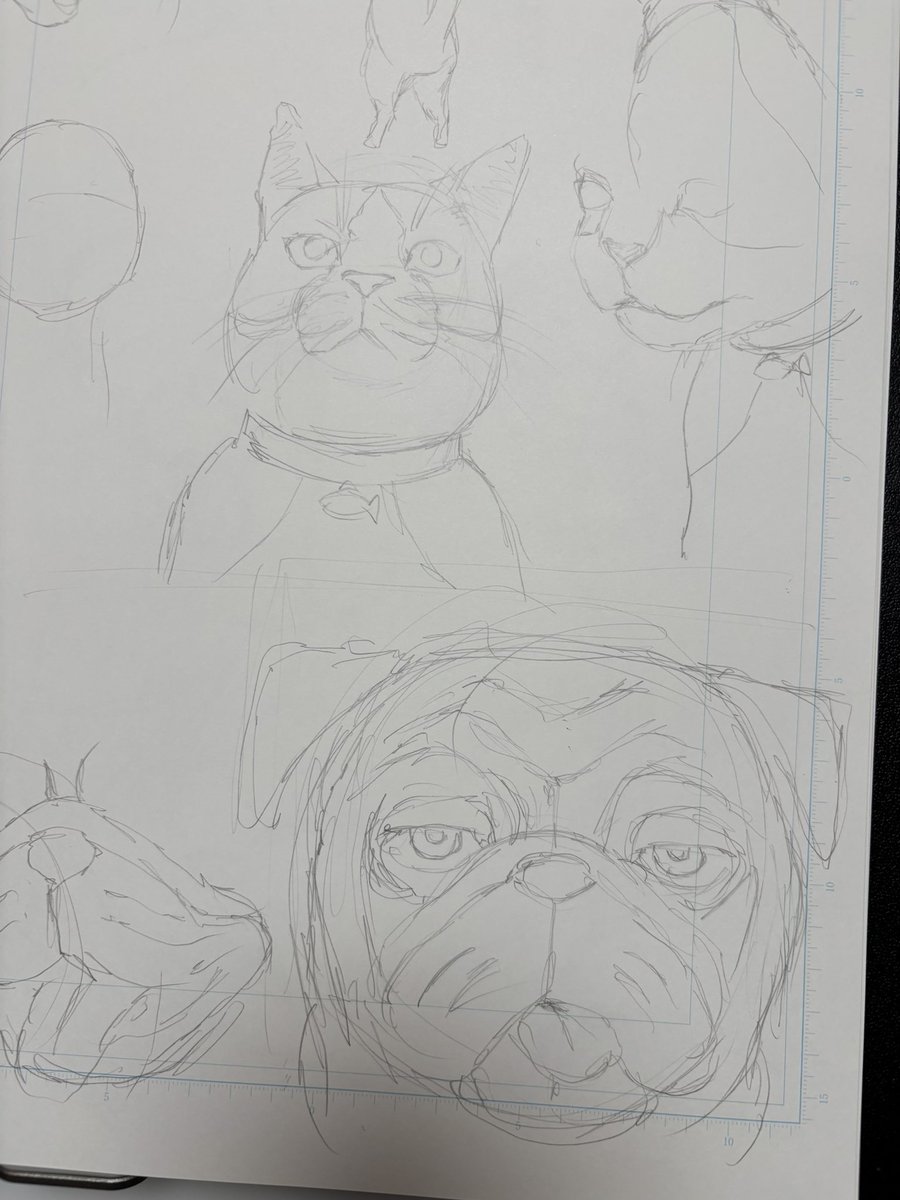 ずっと猫と犬描き続けてるの面白い