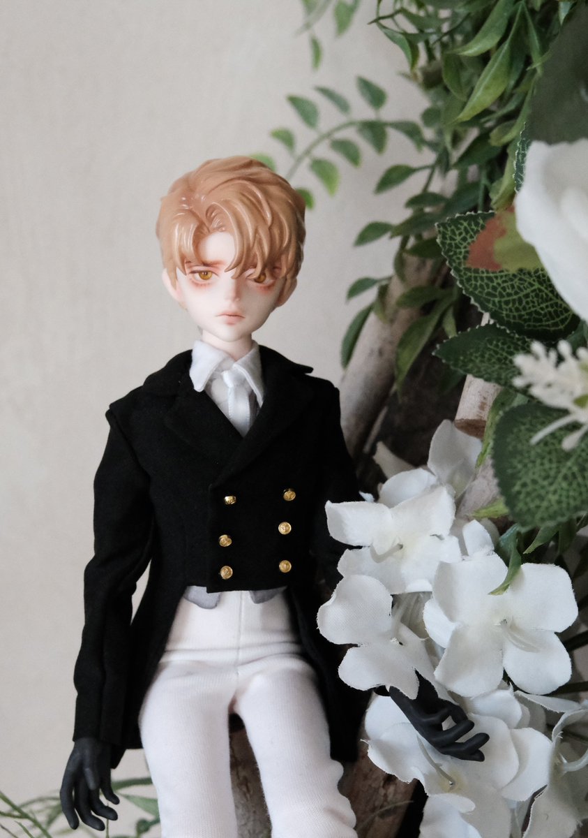 모라 🧸 tweet media