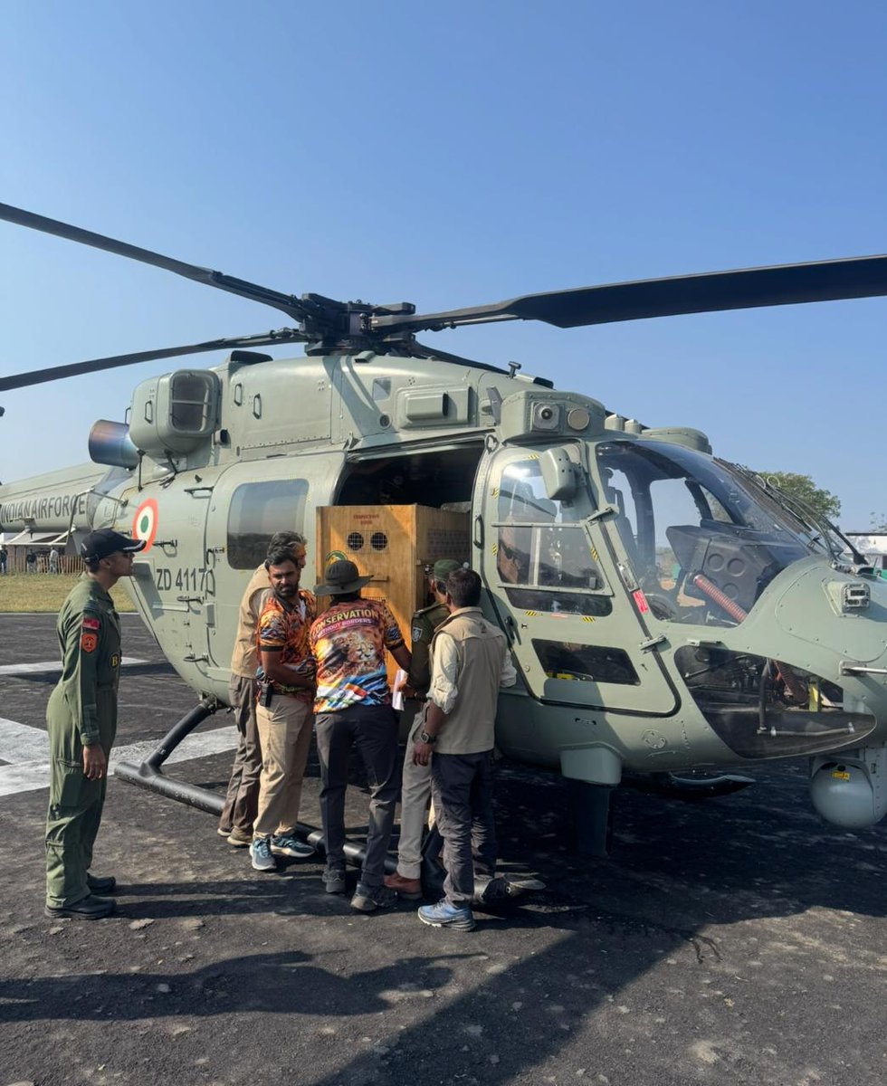 CAC, IAF tweet media