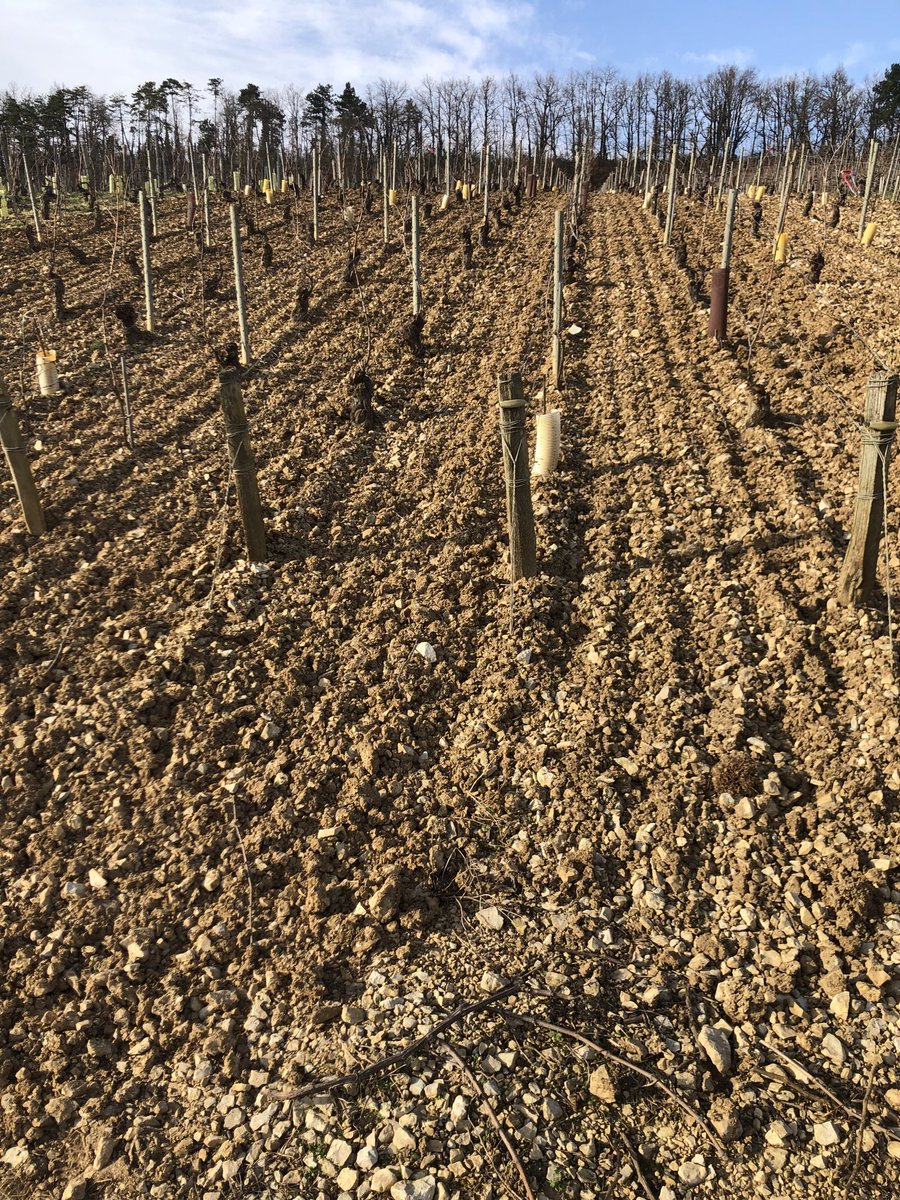 John Abbey tweet media