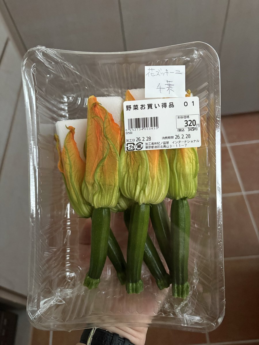 Beatrix Holland tweet media