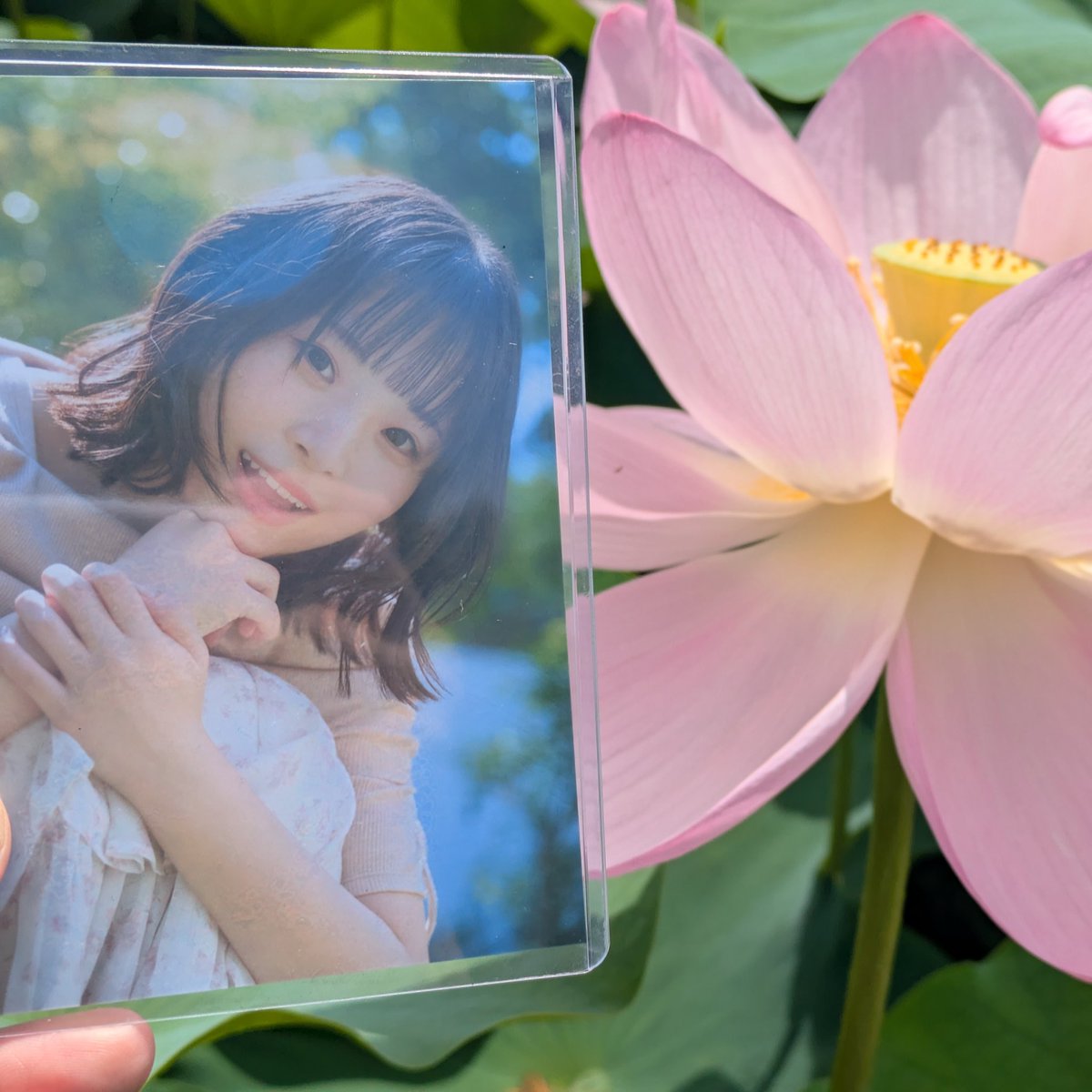 櫻井陽菜さん応援企画 (@sakuraihinaouen) / Posts / X