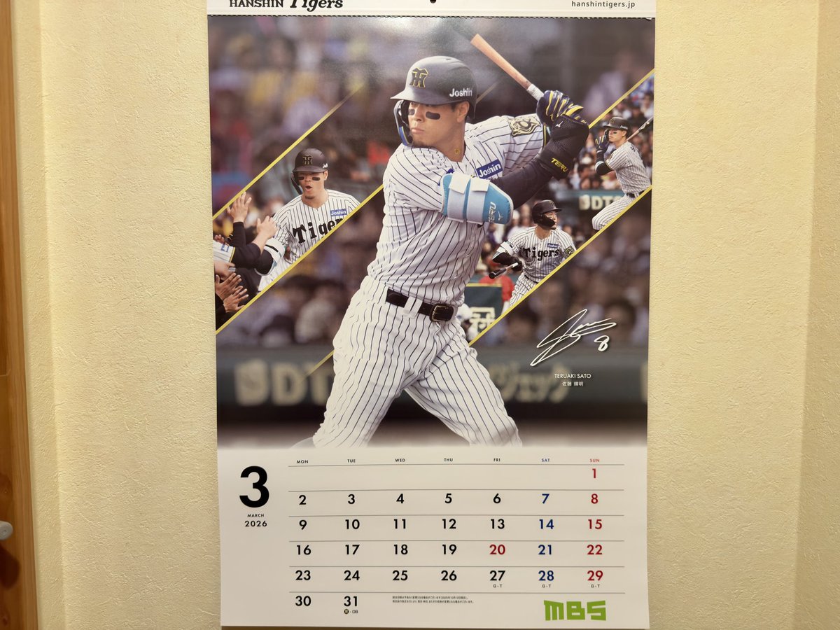 ゆうこりん🐯🦊 (@1yukorin) / Posts / X