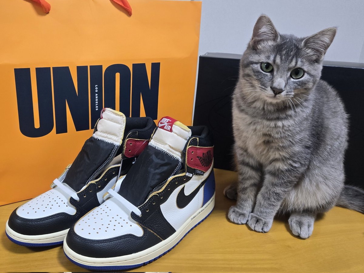 tomoking_5's tweet photo. ナイキ×ユニオン×フ���グメント×😸

つかSNKRSあれどうにかなりませんか？ https://t.co/ao5W0TgsAt