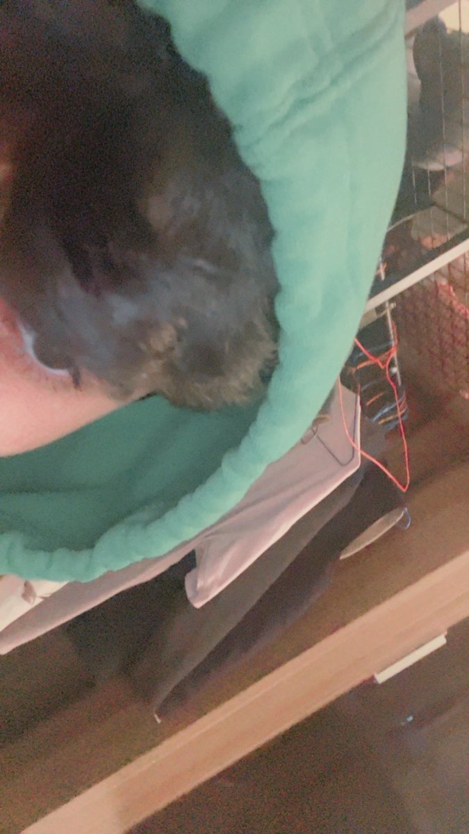 Logestic11's tweet photo. عطثت😭 https://t.co/R15advckFM