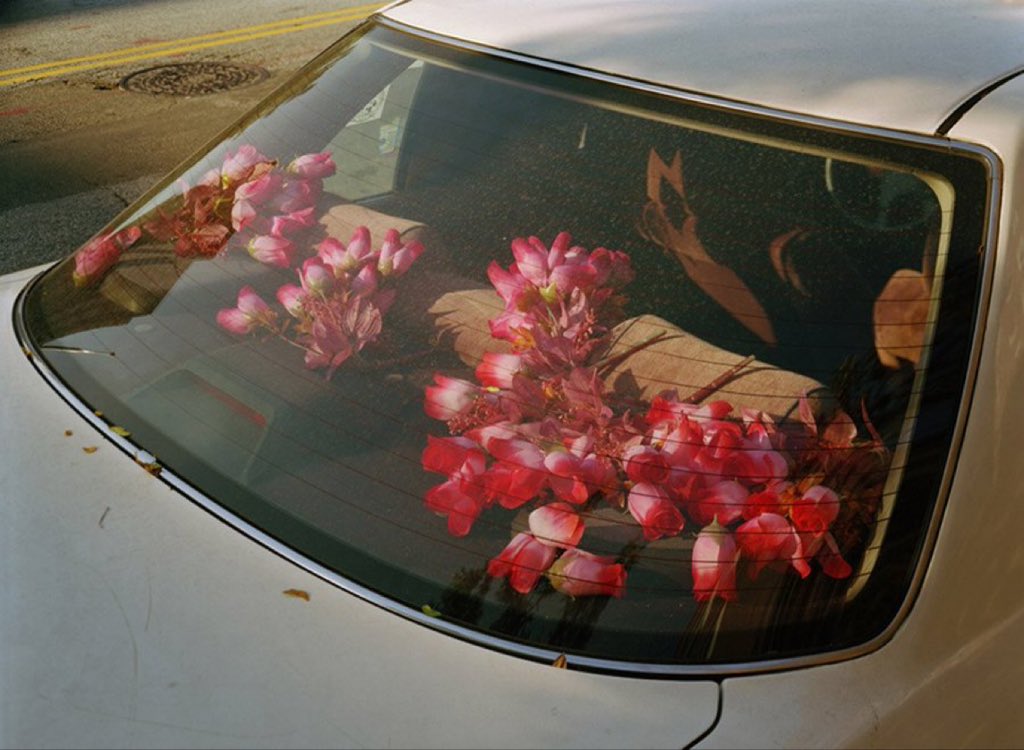 "zamanıdır artık zamanının gelmesinin"