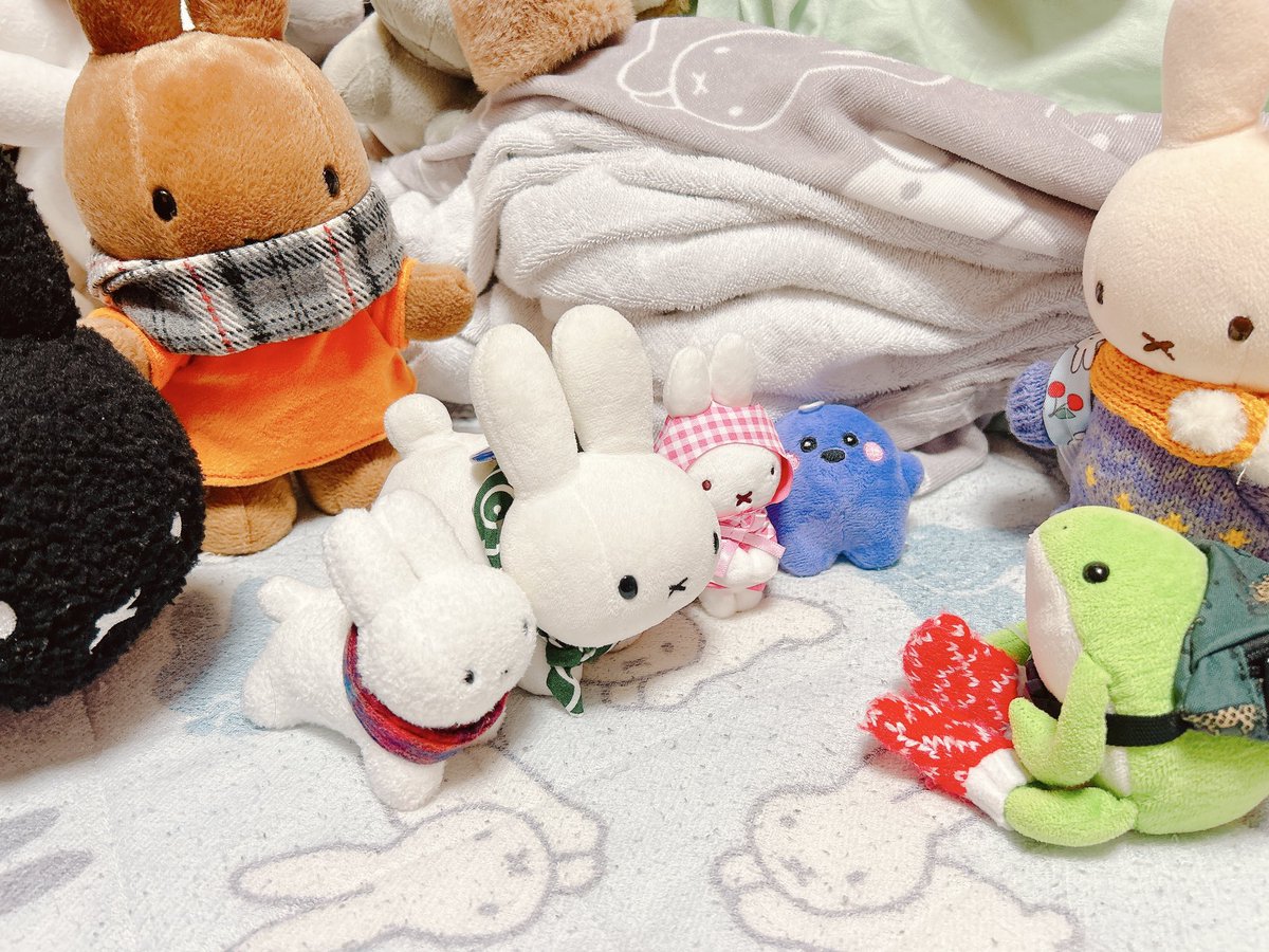 そんなわけでこちらは連れて行ったのに登場しそびれしみなさん。