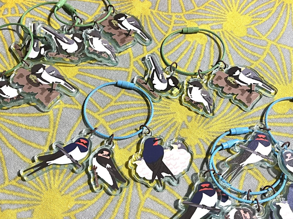 新作！！！
ツバメとシジュウカラ🌱